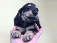 2014-08-19 10.14.32 2014-08-19 10.14.32