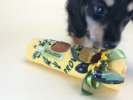 2014-08-19 10.15.06 2014-08-19 10.15.06