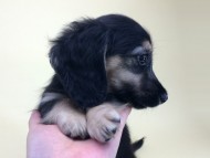 2014-08-19 10.17.20 2014-08-19 10.17.20