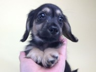 2014-08-19 10.17.33 2014-08-19 10.17.33