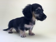 2014-08-19 10.18.11 2014-08-19 10.18.11