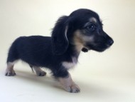 2014-08-19 10.18.12 2014-08-19 10.18.12