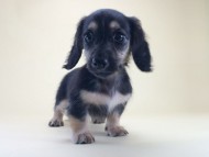 2014-08-19 10.18.24 2014-08-19 10.18.24