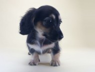 2014-08-19 10.18.29-2 2014-08-19 10.18.29-2