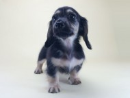 2014-08-19 10.18.37 2014-08-19 10.18.37