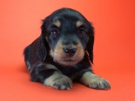 2014-08-21 15.13.05 2014-08-21 15.13.05