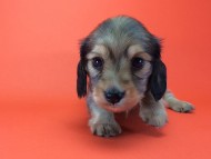 2014-08-21 15.13.50-1