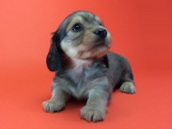 2014-08-21 15.14.30-1