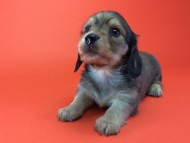 2014-08-21 15.14.36-1