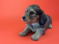 2014-08-21 15.14.36-2