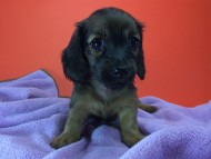 2014-08-21 15.20.39-2