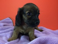 2014-08-21 15.20.42-1