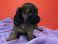 2014-08-21 15.20.42-2