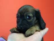 2014-08-21 15.21.13-1