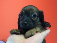 2014-08-21 15.21.14 2014-08-21 15.21.14