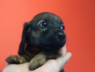 2014-08-21 15.21.16 2014-08-21 15.21.16