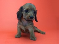 2014-08-21 15.23.18-1