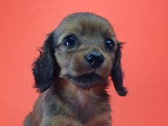 2014-08-21 15.23.31-1