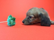 2014-08-21 15.25.20 HDR