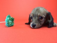 2014-08-21 15.25.21 HDR