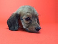 2014-08-21 15.25.29 HDR