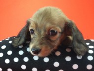 2014-08-21 15.25.57 2014-08-21 15.25.57