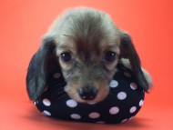 2014-08-21 15.26.25 HDR