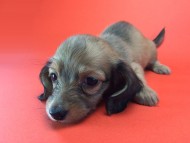 2014-08-21 15.27.17 HDR