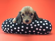 2014-08-21 15.28.06 2014-08-21 15.28.06