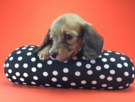 2014-08-21 15.28.16 2014-08-21 15.28.16