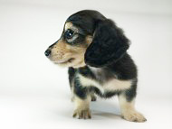 2014-08-24 17.30.42 2014-08-24 17.30.42