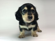 2014-08-24 17.30.59-1 2014-08-24 17.30.59-1