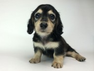 2014-08-24 17.31.09 2014-08-24 17.31.09