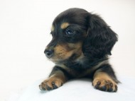 2014-08-24 17.40.37 2014-08-24 17.40.37