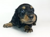 2014-08-24 17.45.15-1 2014-08-24 17.45.15-1