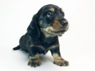 2014-08-24 17.46.36 2014-08-24 17.46.36