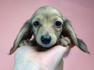 2014-09-23 16.10.37 2014-09-23 16.10.37