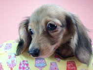 2014-09-23 16.11.19 2014-09-23 16.11.19