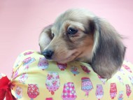 2014-09-23 16.11.34 2014-09-23 16.11.34