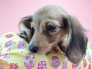 2014-09-23 16.11.39 2014-09-23 16.11.39