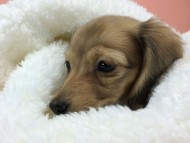 2014-09-23 16.13.50 2014-09-23 16.13.50