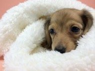 2014-09-23 16.13.56 2014-09-23 16.13.56