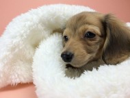 2014-09-23 16.14.25 2014-09-23 16.14.25