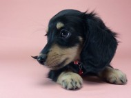 2014-09-23 16.20.29 2014-09-23 16.20.29