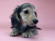 2014-09-23 16.21.55 2014-09-23 16.21.55