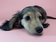 2014-09-23 16.22.59 2014-09-23 16.22.59