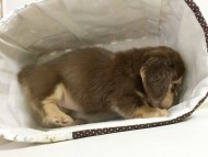 2015-08-26 09.18.32 2015-08-26 09.18.32