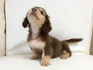 2015-08-26 09.20.14 2015-08-26 09.20.14