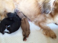 2015-09-27 14.23.33_mini