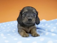 2016-04-26 01.19.53 2016-04-26 01.19.53